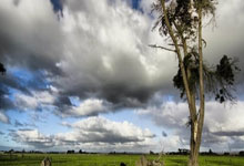 爱游戏官网-永不松手的力量：攥紧坚持，让胜利在掌心绽放