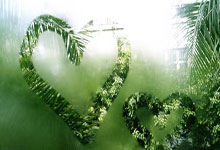 爱游戏官方-阿尔艾因球迷现场助威，激发球队夺冠斗志