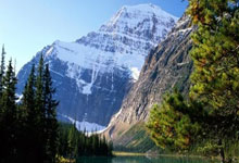 爱游戏官网-永不松手的力量：攥紧坚持，让胜利在掌心绽放