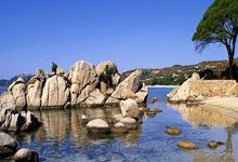 爱游戏体育-塔斯马尼亚联主帅强调团队配合，迎战欧洲劲旅