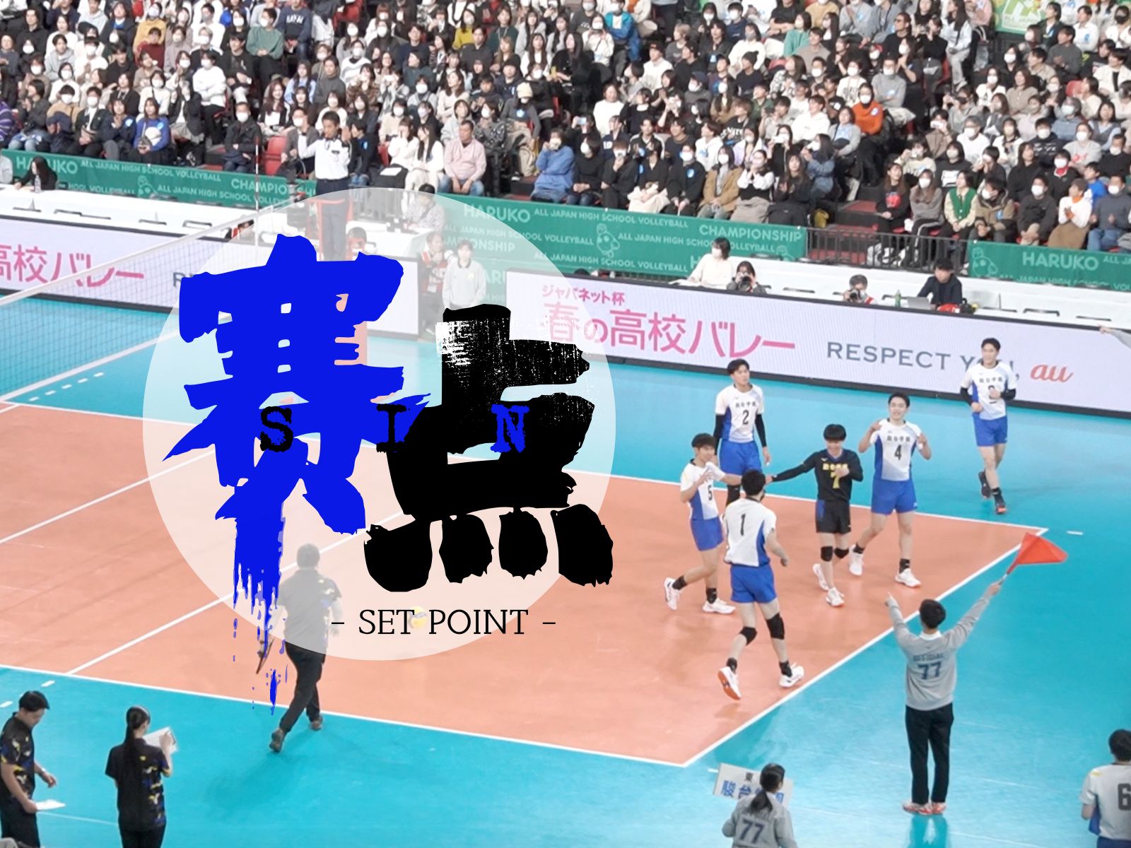 包含五大看点：比赛中哪些亮点令人期待？的词条